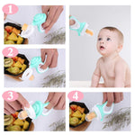 Premium Baby Fruit Feeder Pacifier